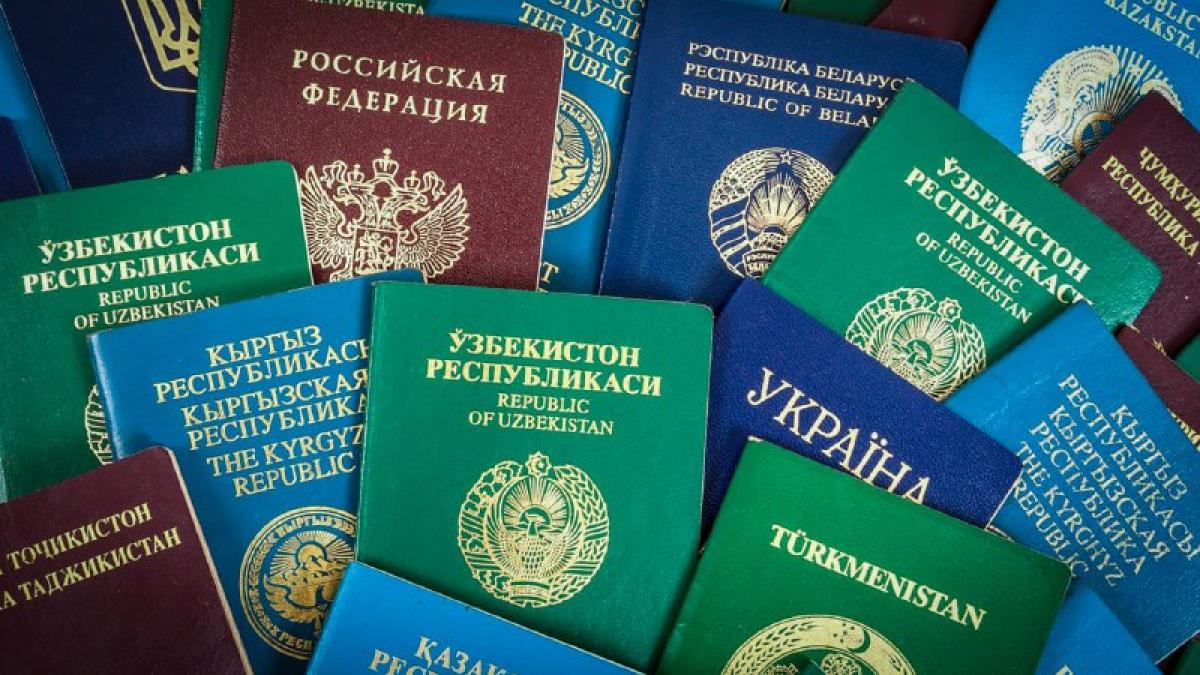 Не упустите шанс: Как иностранцы могут избежать высылки из России в 2025 году?