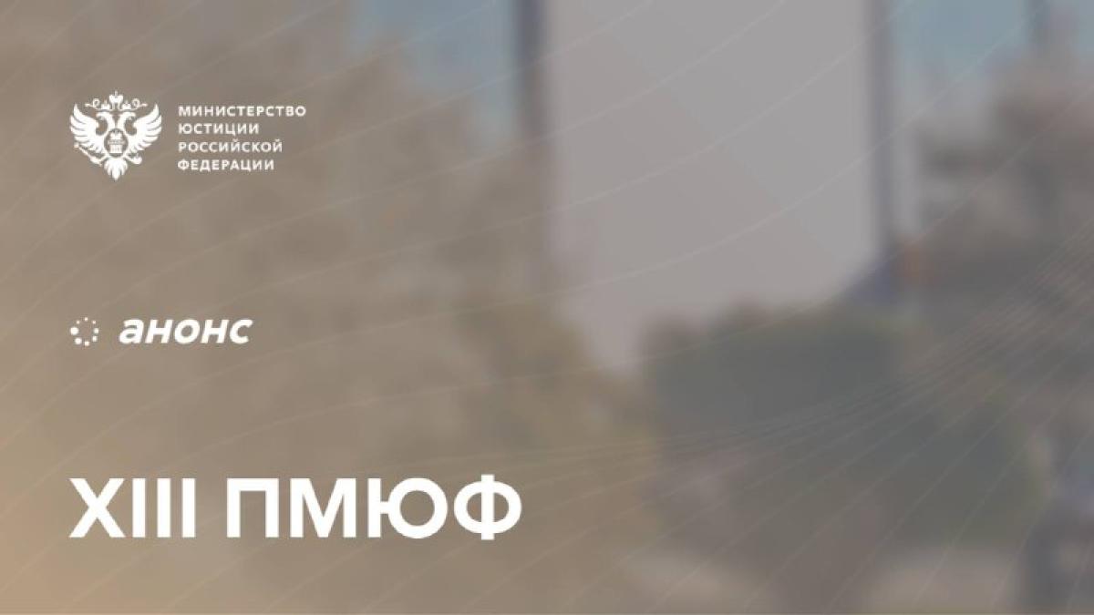 Вправе быть в праве: международный взгляд на бесплатную юридическую помощь на #ПМЮФ25